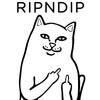 RIPNDIP(リップンディップ)とは