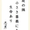 庭の隅小さき薔薇にも生命あり