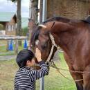 保護馬たちを通して考える、命の大切さ。