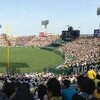 阪神タイガース戦の中継が視聴できる動画配信サービス「虎テレ」が良い感じ