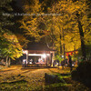 岩戸落葉神社・ライトアップ