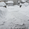 びっくりするくらいの大雪で痛い目にあいました。。。