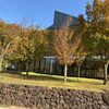柏崎夢の森公園 里山cafe i'm homeへ！nibblesコーヒーも飲める！