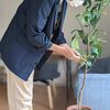 憧れる！丁寧な暮らしあるある１４選。丁寧な暮らしとは、けっきょくどんな暮らし？