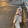日光浴
