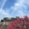 大阪の梅の名所巡り（大阪城公園・大阪天満宮・万博記念公園梅まつり）