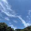 この私が創っている現実だから悪くなりようがない
