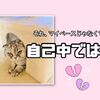 それ、マイペースじゃなくて自己中では？