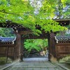 【京都】嵐山、『法輪寺』に行ってきました。　京都旅　青もみじ