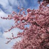 娘の小学校の卒業式を終えて、思うこと。