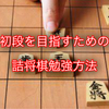 ネット将棋で初段を目指すための詰将棋勉強法【将棋ウォーズ・将棋クエスト・８１道場】