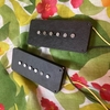 ジャズマスター用音源　Rugir Pickups