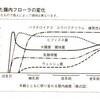 【アリシン】腸内フローラとにんにく