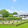 飛鳥水落遺跡〜日本の「時」が動き出した場所、水で刻んだ国家