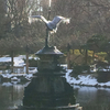 日比谷公園の鶴の噴水　〜まわりは雪、氷の翼〜２０１３年１月１８日〜