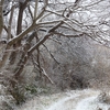令和３年は雪の幕開け・・・