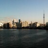 2011/9/29  　朝に撮影、夕に撮影