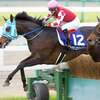 ７４キロに比べれば