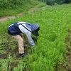 大岩に頼もしい助っ人