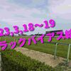 2023,3,18～19 トラックバイアス結果 (中山競馬場、阪神競馬場、中京競馬場)