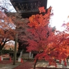 京都の秋☆栗生八ツ橋。