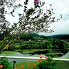 ポツリポツリと🌂そして⇒曇り時々晴れ⛅（9月13日撮影📷）