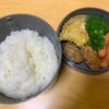 【お弁当】本日のお昼