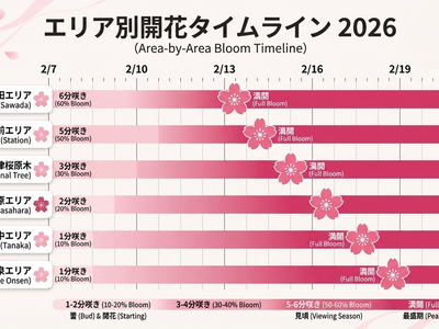 2026最新】河津桜まつり完全ガイド｜見頃・開花状況・アクセス・出店