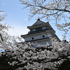 鶴ヶ城と満開の桜