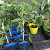 私達の支援の考え方①