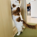 極貧のマロの生活記録