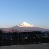 思いっきり清められた東京