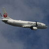 JL JA339J B737-800(wl)