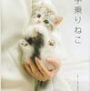めちゃかわ❗️❗️7/12から写真展「ねこ休み展」が開催決定❗️❗️