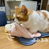 夏の終わりを表す愛猫のふみふみ。
