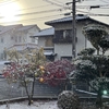 雪が降りました