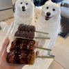 人も犬もオヤツ好き❣️