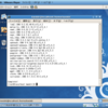  WinXP 上の VMware Player 3.0 で CentOS5.4 をインストール。