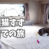 保護猫すず、初めての旅。