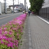 2023年4月23日（日）涼しい一日