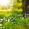 【＃光と闇の統合は愛の力！】＃人生の使命とは？アラ還虹子