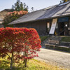 今年も高野山の紅葉 Ⅴ