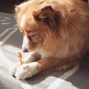 シェフの備忘log