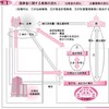 新・貨幣国定主義