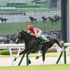 競馬初心者必見☆馬券予想🔥〜CBC賞〜中京開催に戻ってもリピーターにはご注意を？