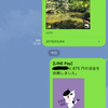 LINE Payがめっちゃ便利なのでみんな使ってほしい