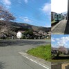 徳島線小島駅で桜のある鉄道写真