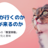 教員が行くのか、生徒が来るのか　〜授業のための「教室移動」の変化と意味〜