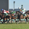 番外編（競馬）②キズナ産駒とディープ産駒が同一週に重賞制覇（４歳牝馬コンクシェル＆６歳牡馬プログノーシス）