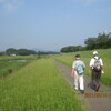 小山川の初夏